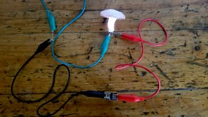 Image shows a colourless life-size resin cast of a small mushroom. The resin mushroom is embedded with a small light, which is glowing and connected to a tiny battery via 3 different coloured crocodile clips.